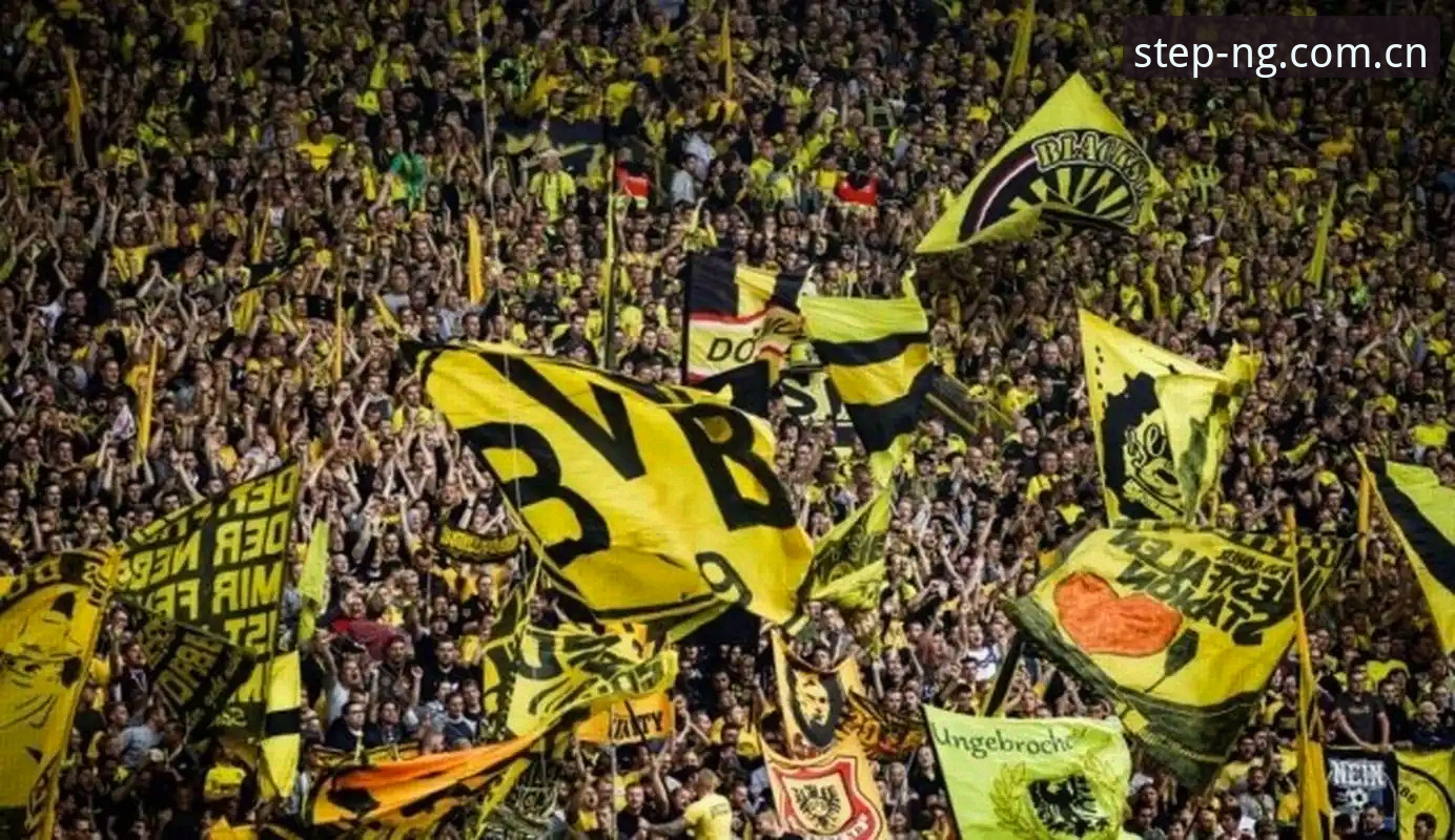 2026世界杯J组德甲势力版图分析教程：从ng体育平台看透小组赛格局
